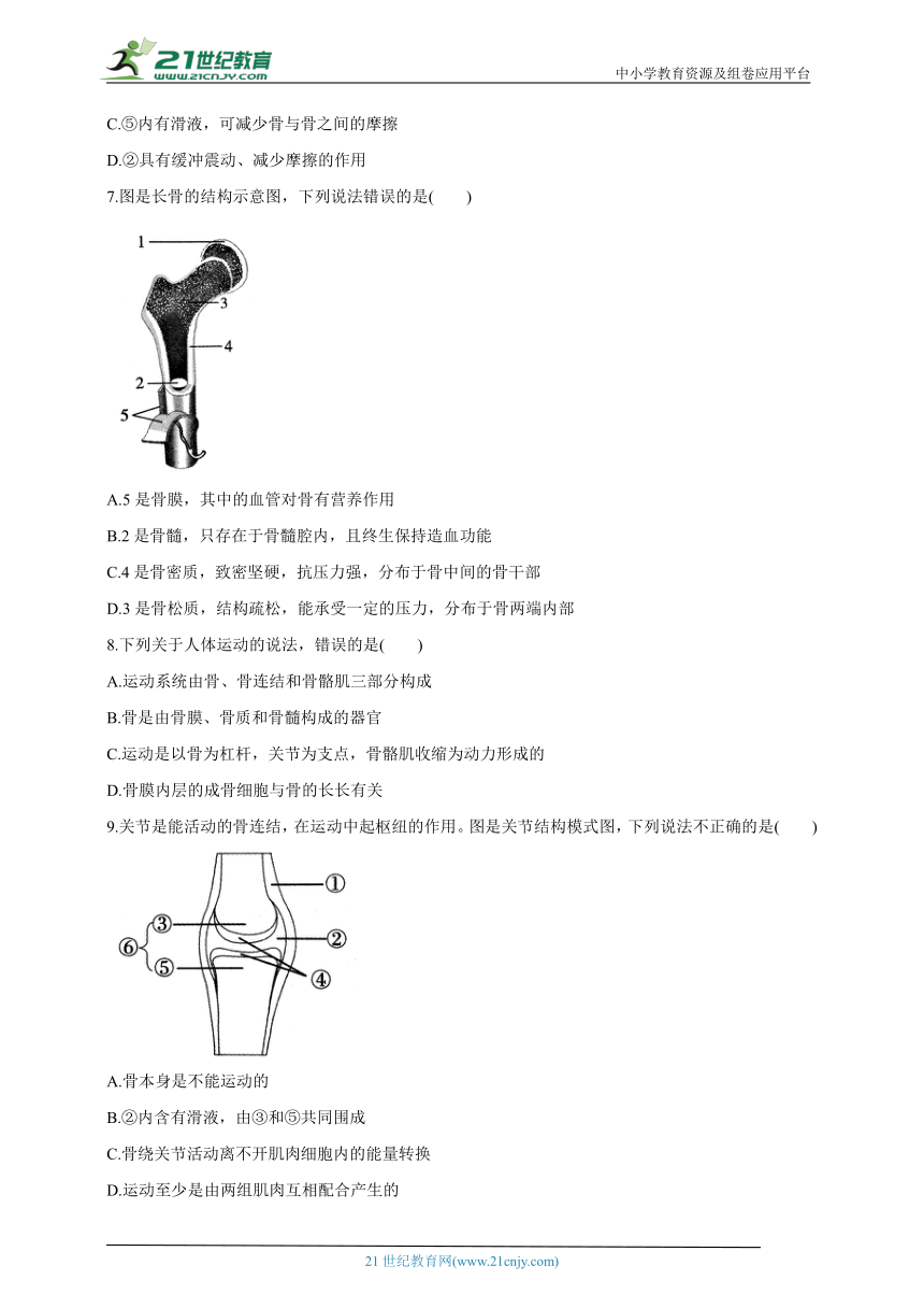 冀少版八年生物上册4.1.1运动的基础  学案