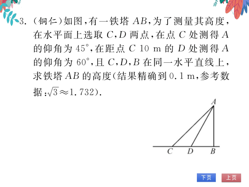 【沪科版】数学九年级上册 23.2 解直角三角形及其应用 第2课时 习题课件