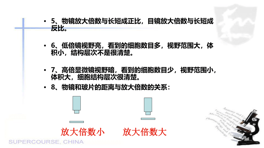 1.1.4 生物学的研究工具 课件（共50张PPT）