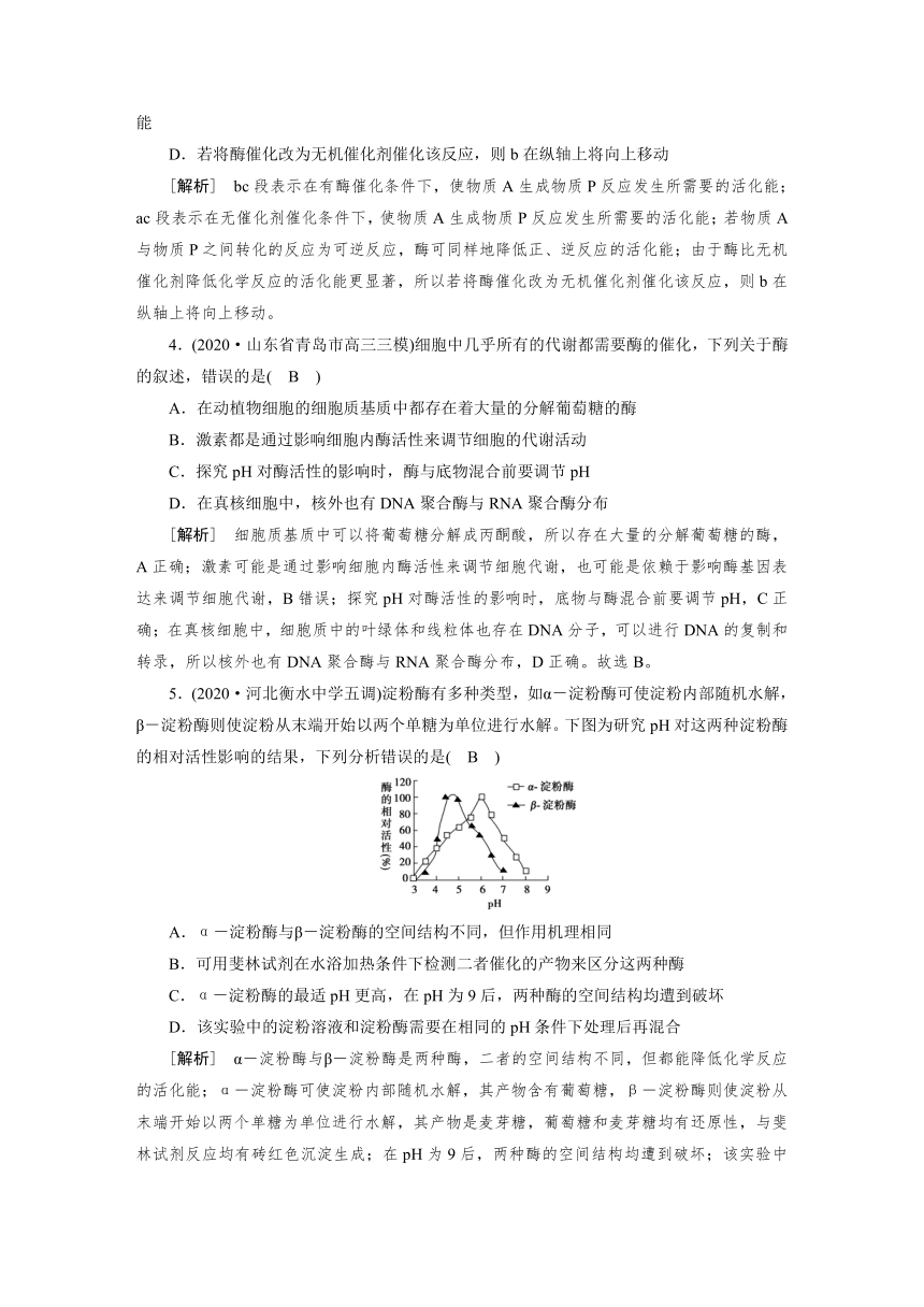 高中生物同步训练案 (8)酶的本质、特性及相关实验探究（含答案详解）