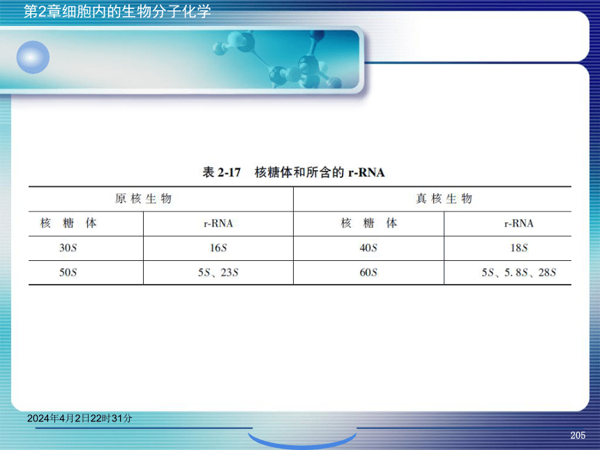 2.5核酸化学 课件(共47张PPT）- 《环境生物化学》同步教学（机工版·2020）