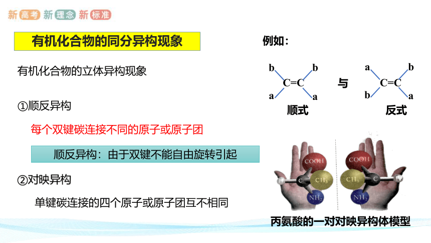 1.1.3  有机化合物的同分异构现象-高二化学课件(共22张PPT)(人教版2019选择性必修3)