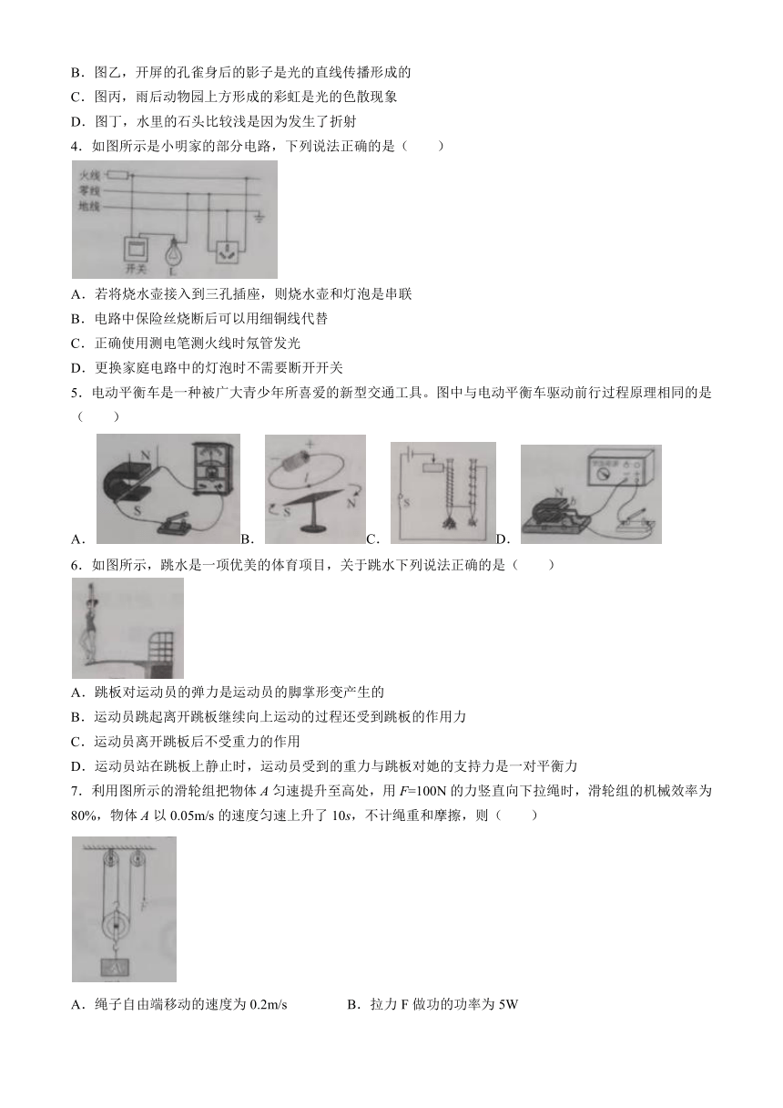 2024年云南省西双版纳州勐海县九年级中考一模物理试题(含答案)