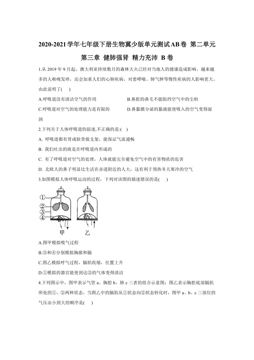 2020-2021学年七年级下册生物冀教版单元测试AB卷 第二单元第三章 健肺强肾 精力充沛 B卷（word版含解析）