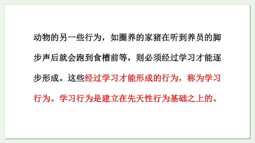 6.18.2 动物行为的生理基础课件(共22张PPT)2023-2024学年初中生物苏教版八年级上册