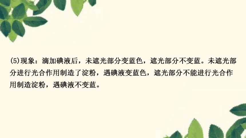 人教版生物七年级上册 第四章　绿色植物是生物圈中有机物的制造者 课件（共21张PPT）