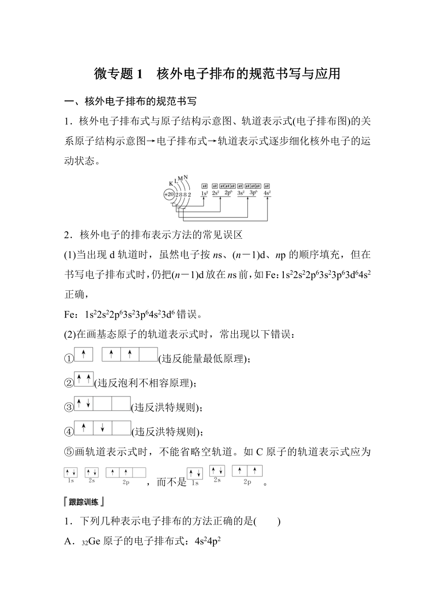 高中化学苏教版（2021） 选择性必修2 专题2 第一单元 微专题1　核外电子排布的规范书写与应用