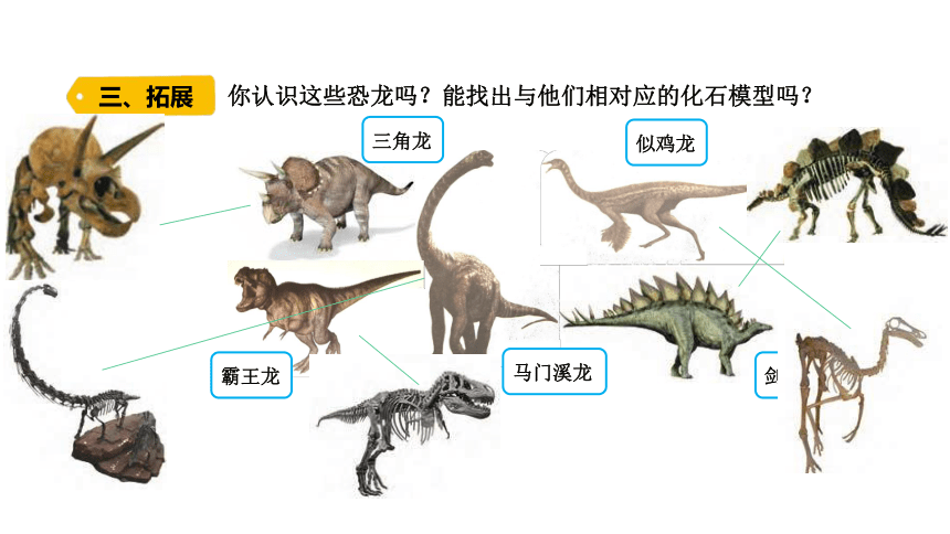 苏教版（2017秋） 六年级上册3.8 消失的恐龙 课件(共9张PPT)