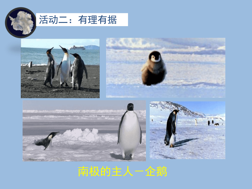 中图版（北京）八年级下册地理 6.5南极地区和北极地区  课件(共33张PPT)