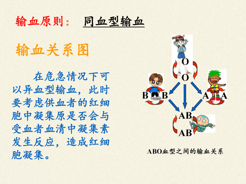 苏教版生物七年级下册 第十章 第二节 人体的血液循环课件(共27张PPT)