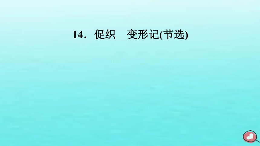 2023年高中语文 第六单元 14 促织 变形记(节选)课件(共107张PPT) 部编版必修下册