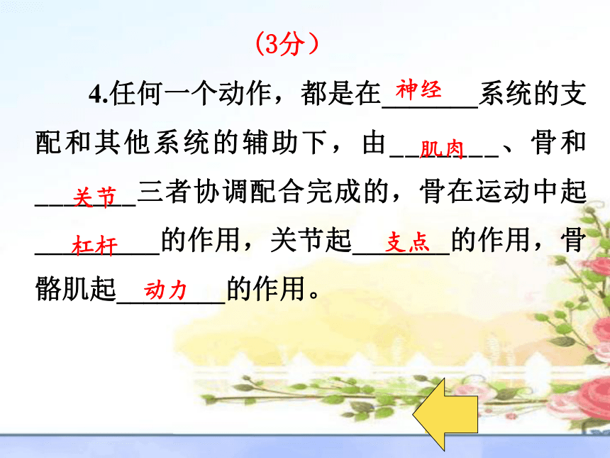 2021-2022学年人教版生物八年级上册第二章动物的运动和行为复习课课件（共50张PPT）