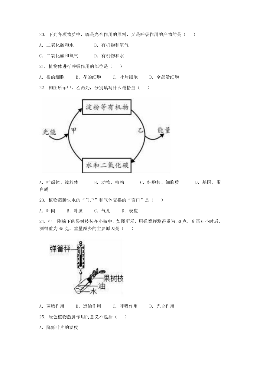 河北省保定市第十三中学2022-2023学年八年级上学期期末生物试题（含答案）