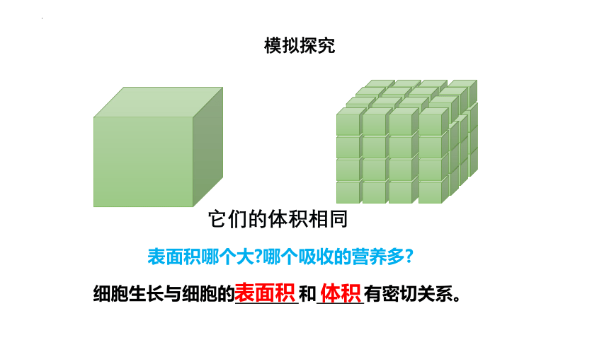 2.2.1细胞通过分裂产生新细胞课件(共31张PPT)2022--2023学年人教版生物七年级上册