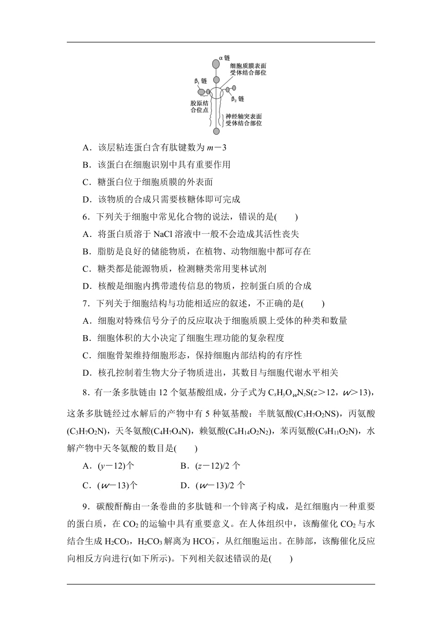 2021-2022学年高一上学期生物苏教版（2019）必修1模块训练（word版含解析）