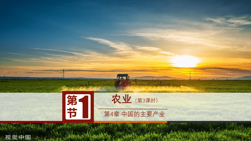 4.1农业（第3课时)  同步课件  初中地理湘教版八年级上册（2022-2023学年）(共17张PPT)