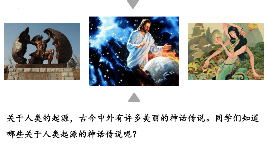 第1课中国境内早期人类的代表—北京人  课件（21张PPT）
