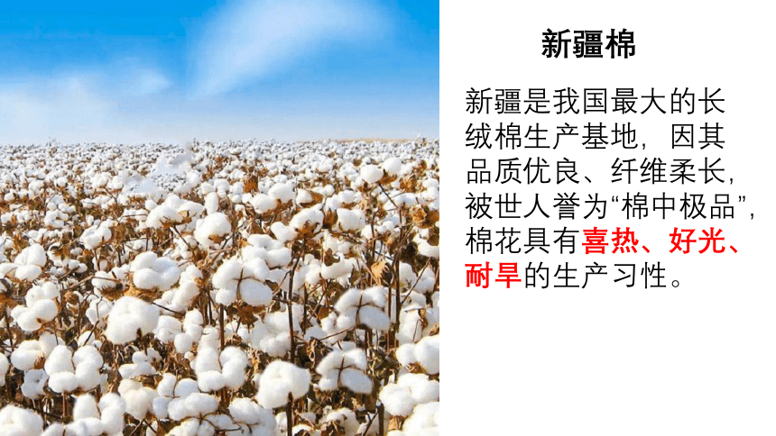 8.1西北地区的自然特征与农业课件(共33张PPT)2022-2023学年人教版地理八年级下册