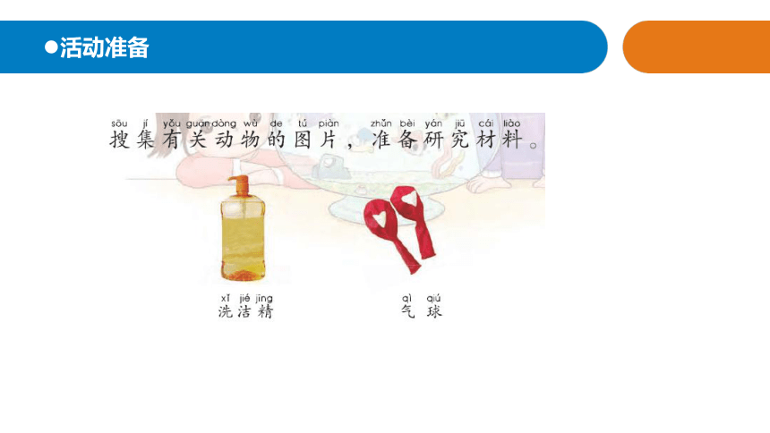 青岛版《科学》二年级下册第四单元《动物与环境》 11 动物的皮肤教学课件(共21张PPT)