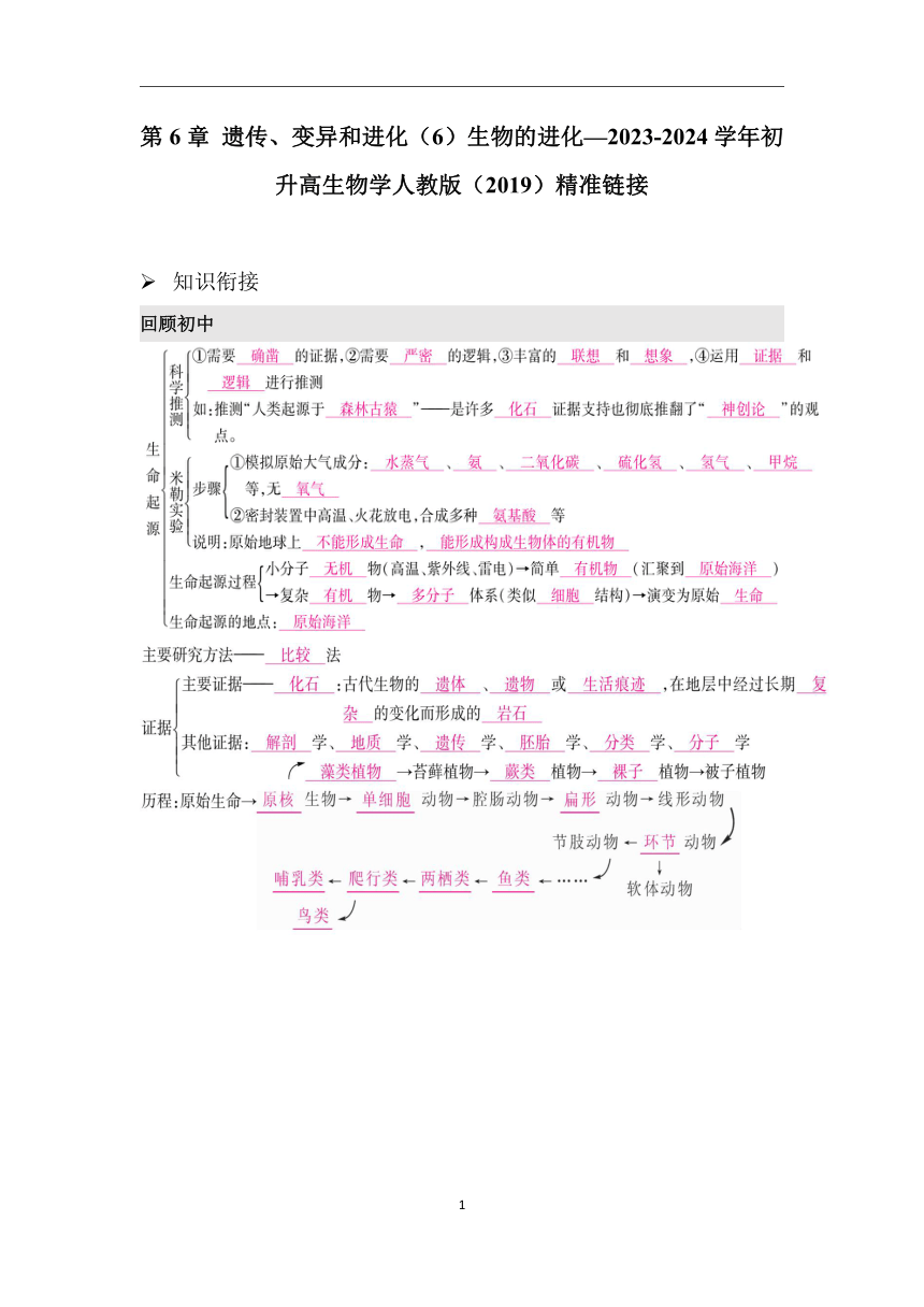 第6章 遗传、变异和进化（6）生物的进化学案（含解析）—2023-2024学年初升高生物学人教版（2019）精准链接