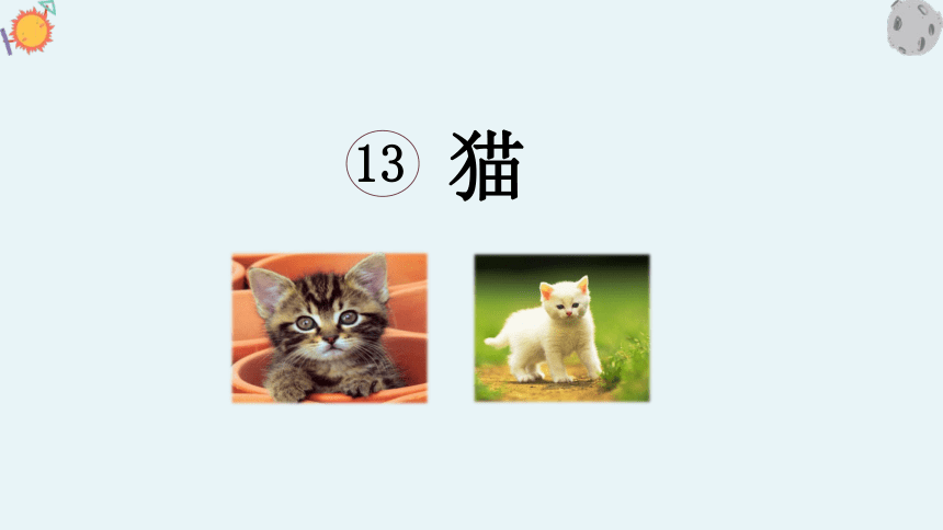 13 猫 课件（19张PPT）