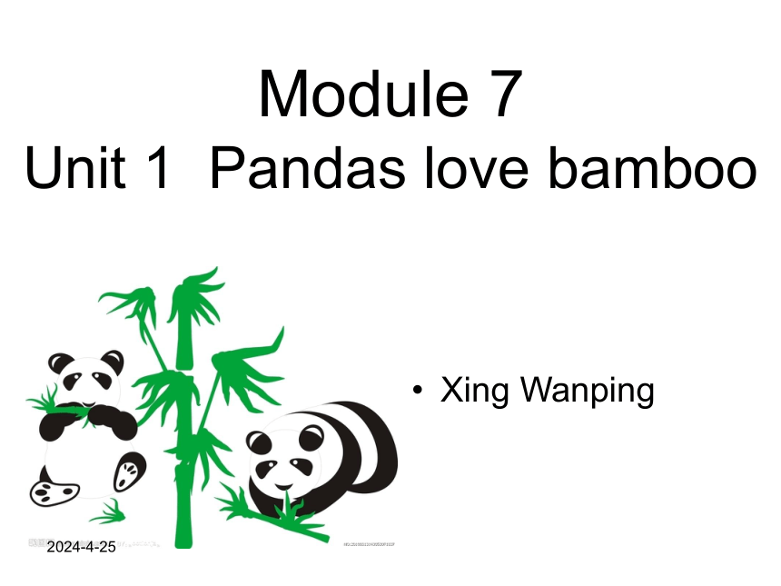 Module 7《Unit 1 Pandas love bamboo》课件（14张PPT）