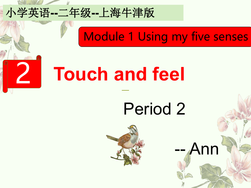 Unit2 Touch and feel 第二课时 课件  (共18张PPT)