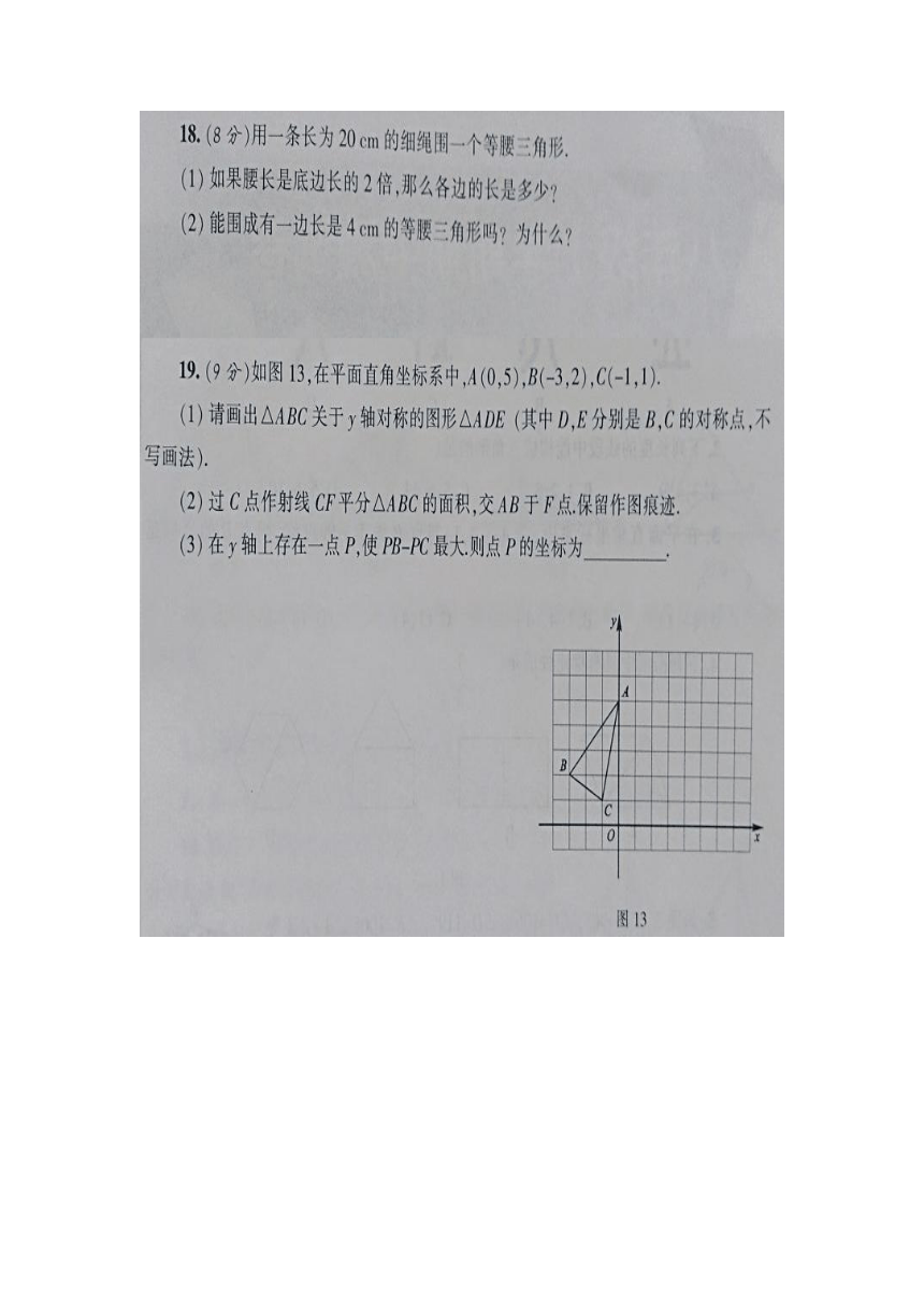 湖北省恩施土家族苗族自治州利川市沙溪乡民族初级中学2021-2022学年八年级上学期数学11月测试题（图片版 含答案）