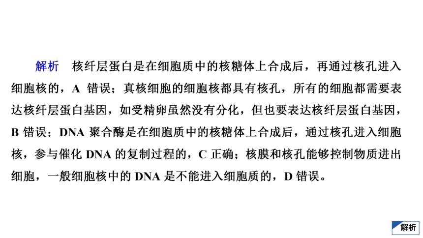 高考生物复习用卷：考点5 细胞核　细胞膜（共42张PPT）