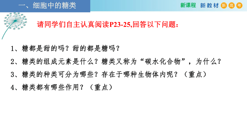 2.3 细胞中的糖类和脂质(2课时）(课件共22张PPT)