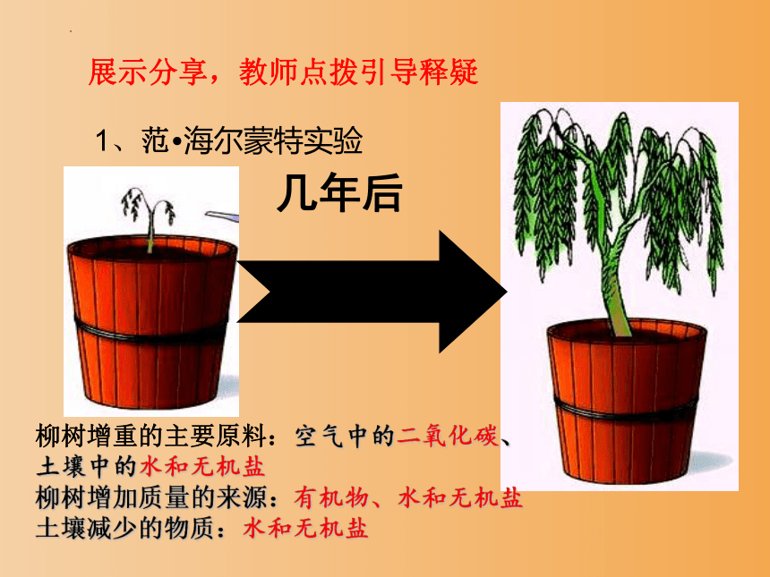 2.1.3绿色植物的光合作用（第二课时）课件(共30张PPT)2023-2024学年济南版生物七年级上册