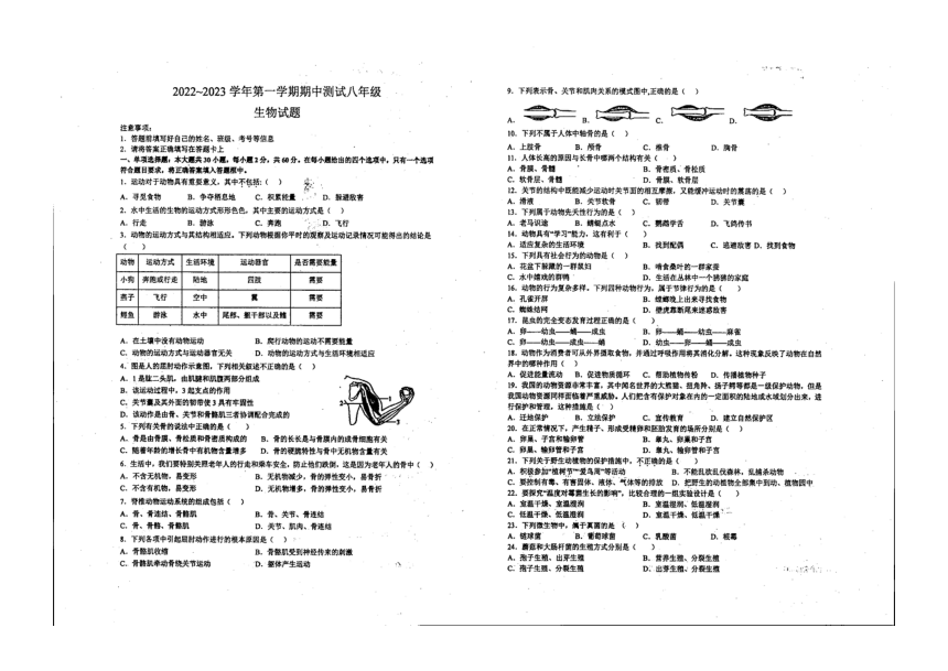 广东省湛江市初级实验中学2022-2023学年上学期八年级期中生物（PDF版无答案）