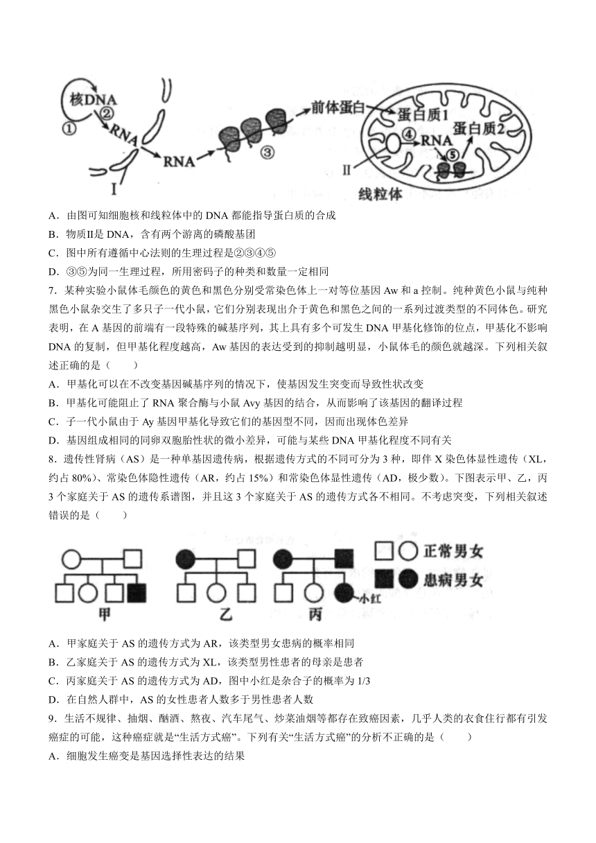 辽宁省辽南协作校2022-2023学年高一下学期期末考试生物学试题（Word版含答案）