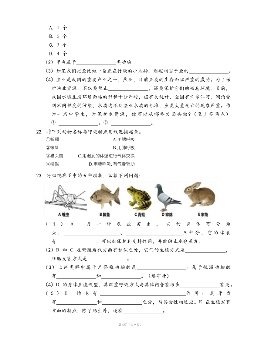 沪教版生物第二册同步练习4.2动物(word版，含答案解析）