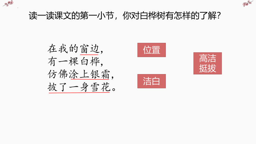 11.白桦 第二课时（课件）（共34张ppt）