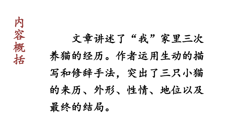 部编版七年级语文上册课(共41张PPT)件--16  猫