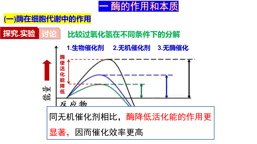 5.1降低化学反应活化能的酶课件(共41张PPT)