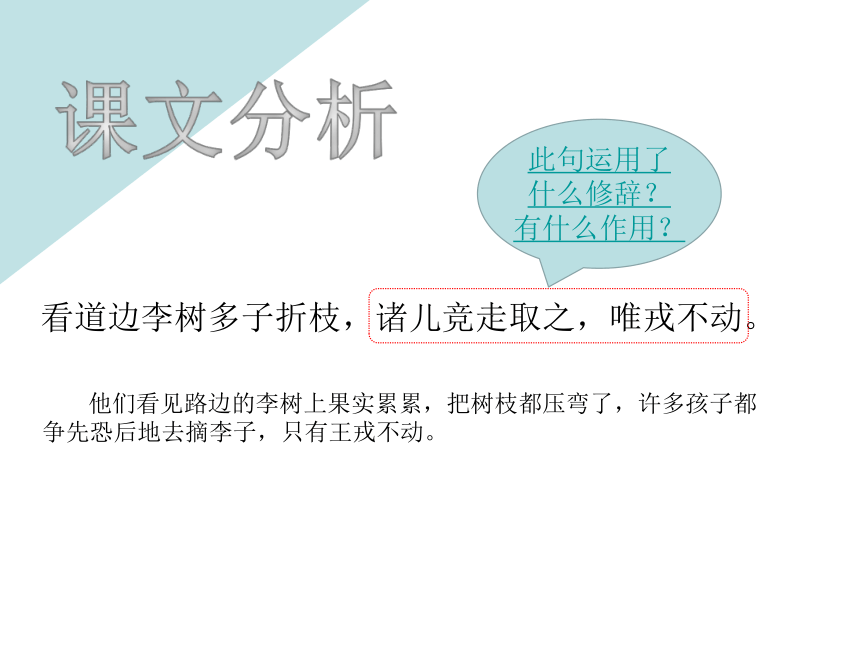 25 王戎不取道旁李  课件(共18张PPT)