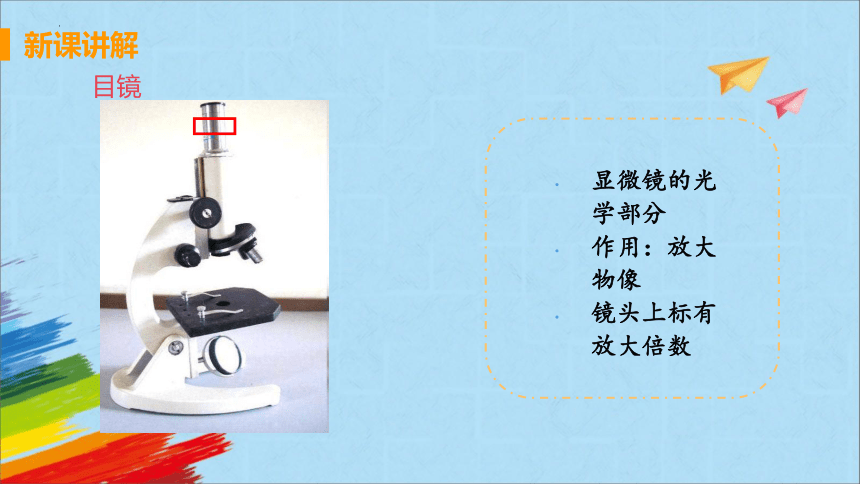 2022-2023学年人教版生物七年级上册 2.1.1 练习使用显微镜  教学课件（共37张PPT）