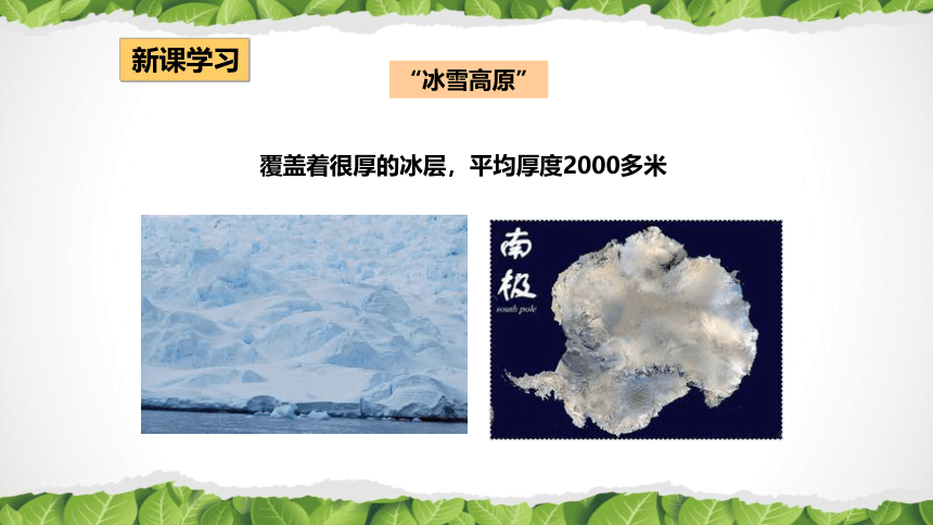 2020-2021学年人教版七年级地理下册第十章《极地地区》课件（共44张PPT）