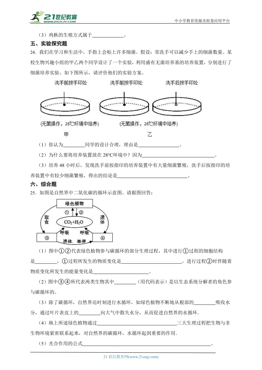 苏科版生物2023年七下期末测试题（含解析）