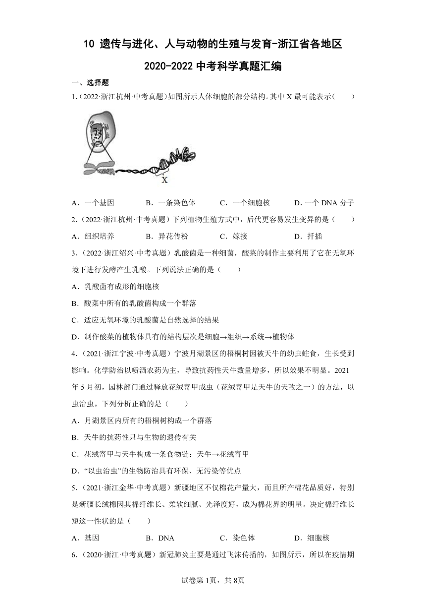 10遗传与进化、人与动物的生殖与发育-浙江省各地区2020-2022中考科学真题汇编（含解析）