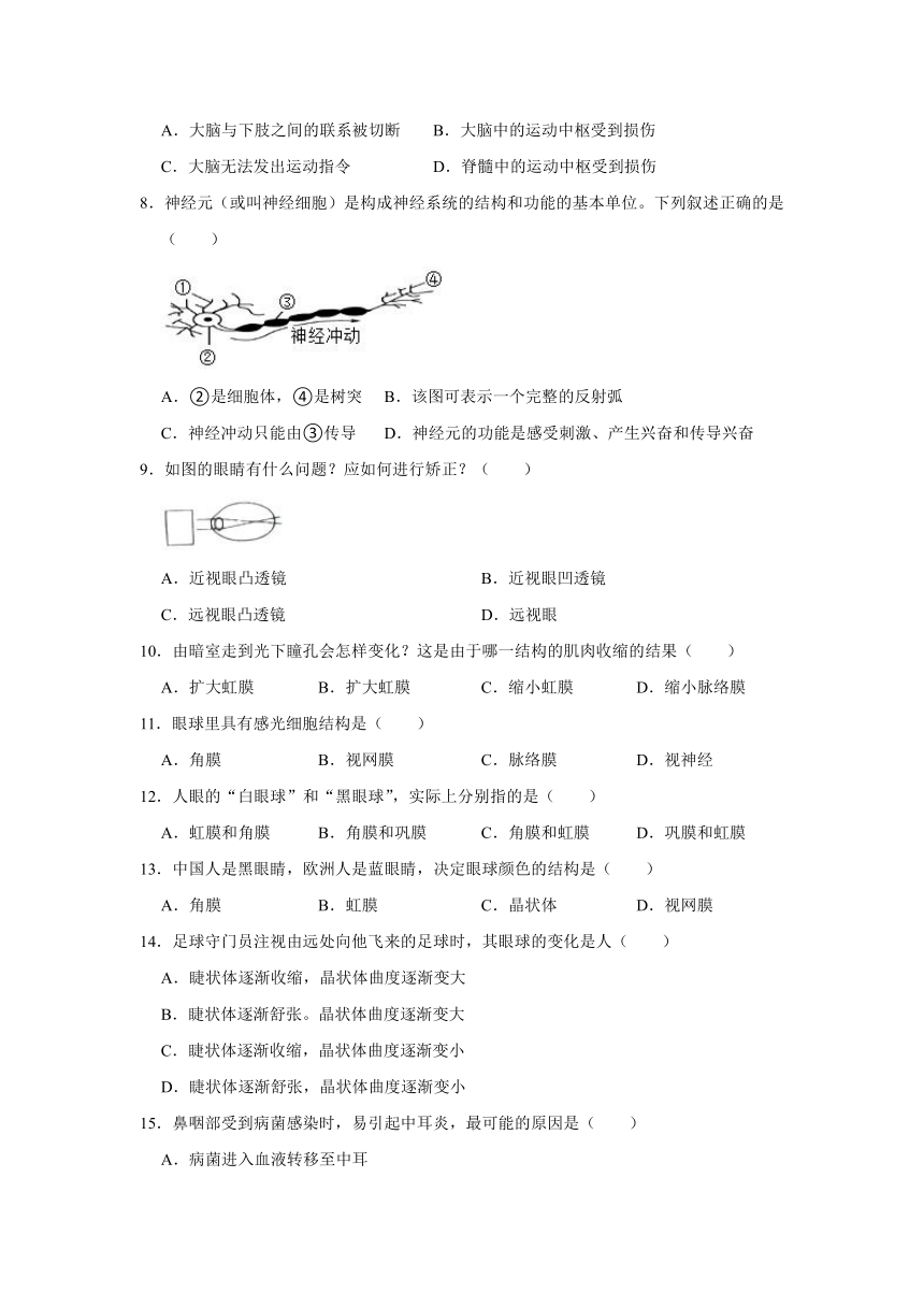 人教版生物七年级下册《4.6 人体生命活动的调节》单元测试卷（word版含解析）