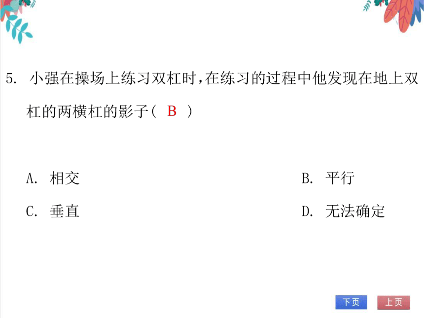 【北师大版】数学九（上）第5章 投影与视图 期末复习学案（课件版）