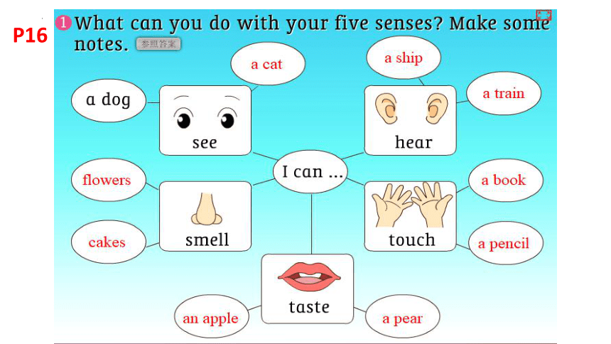 小学英语牛津上海版（深圳用）四年级下册 Module 1 Using my five senses复习 课件(共14张PPT)