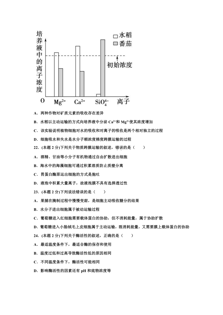 河南省新乡市原阳县第三高级中学2021-2022学年高一上学期期中考试生物试卷（Word版含答案）