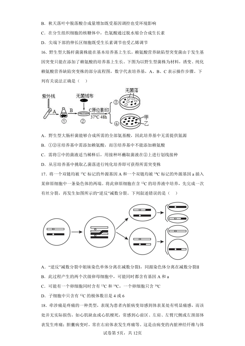 2023届浙江省绍兴市上虞市高三第二次适应性考试生物试题（含答案）