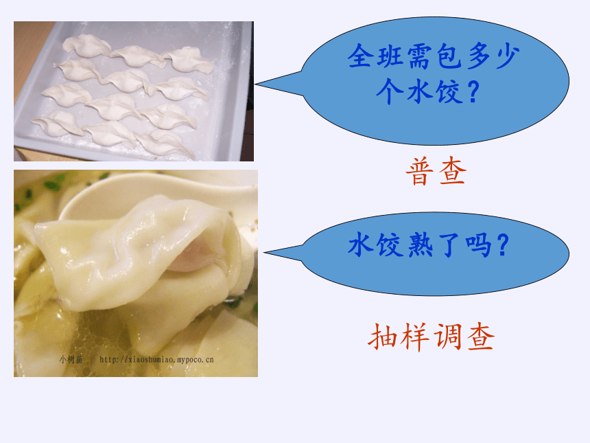 苏科版八年级数学下册 7.1 普查与抽样调查课件 (共25张PPT)