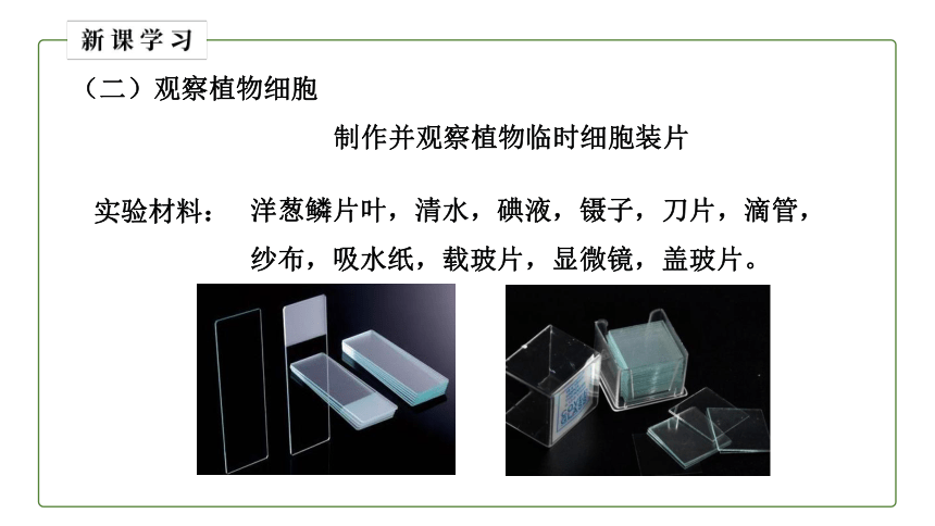 人教版初中生物七年级上册同步教学2.1.2 植物细胞 课件(共19张PPT)