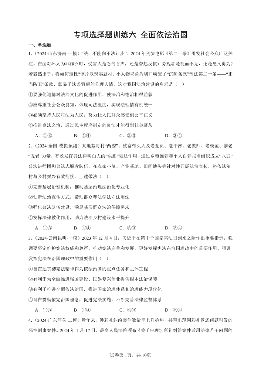 专项选择题训练六 全面依法治国 练习（30题）（含答案） 2023-2024学年统编版高三政治二轮复习专题练习